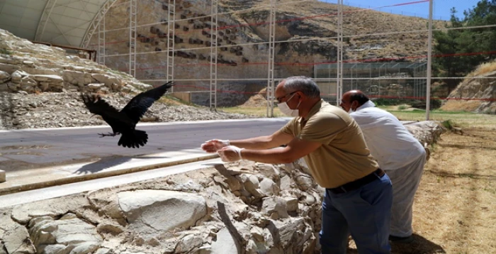 Tarihin Sıfır Noktasında Bir Zaman Yolculuğu: Şanlıurfa Gezi Rehberi