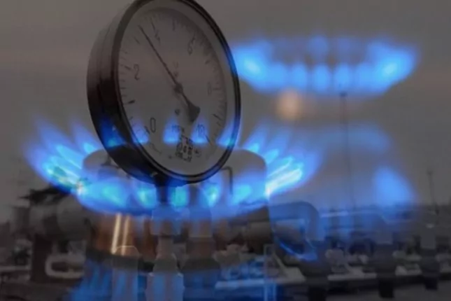 Hanelerin 2025 enerji t&uuml;ketiminde doğal gaz ilk sırada