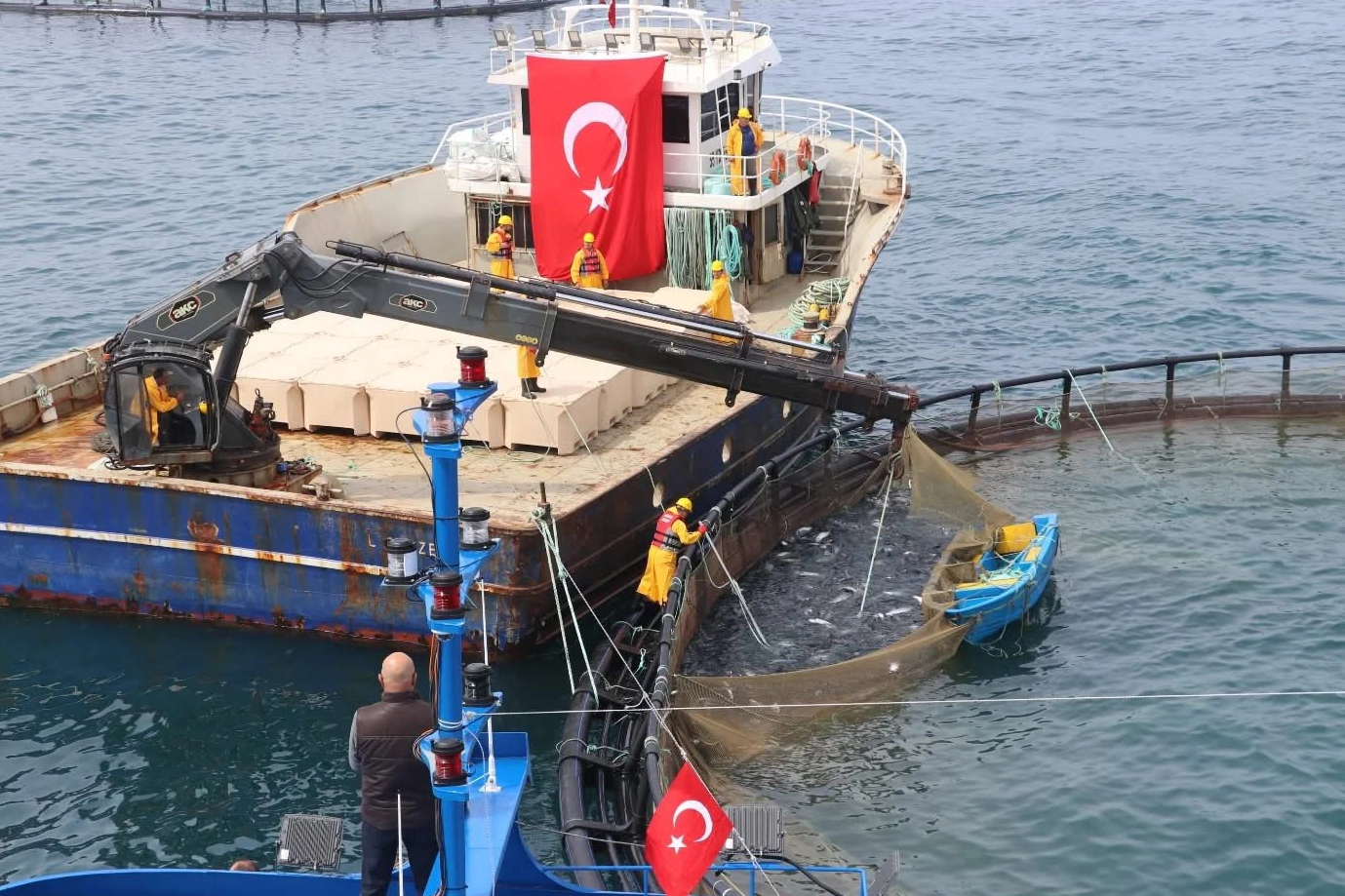 T&uuml;rk somonu ihracatta rekor yolunda... &Uuml;retim 75 bin tona ulaştı