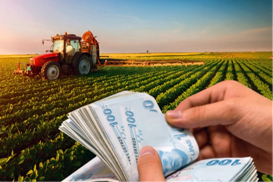 338 milyon TL'lik tarımsal destekler hesaplarda