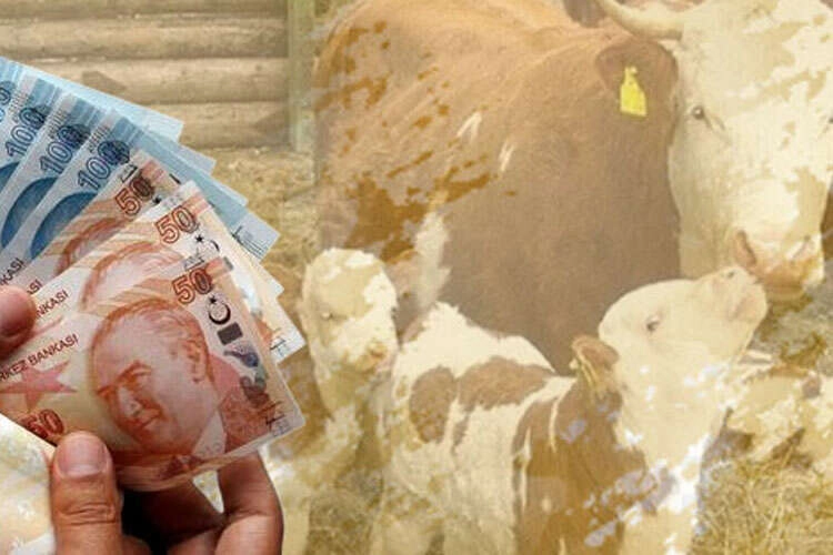 &Ccedil;ift&ccedil;ilere 10,7 milyar TL tarımsal destek &ouml;demesi yapılacak