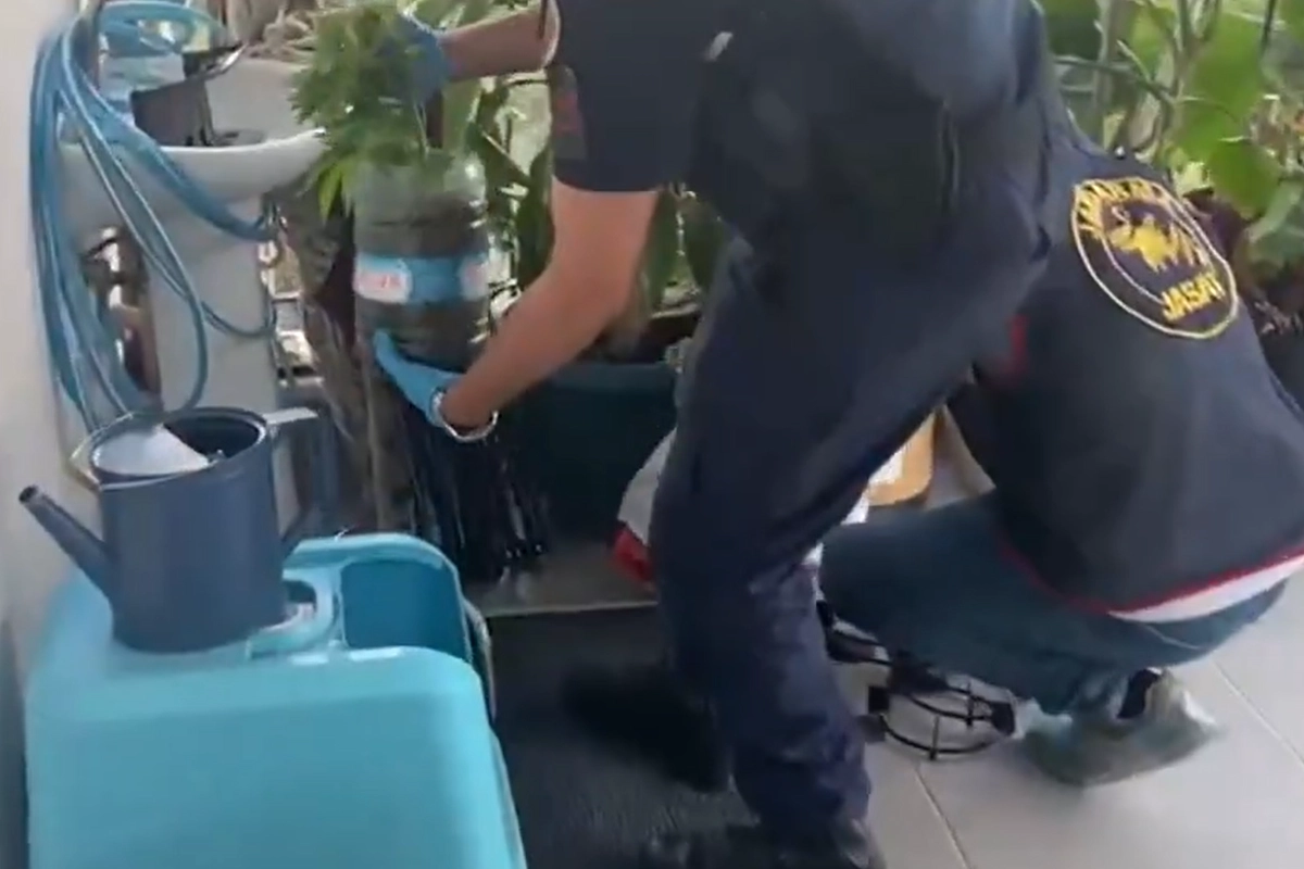 Jandarma&rsquo;dan 5 ilde uyuşturucuya 341 g&ouml;zaltı