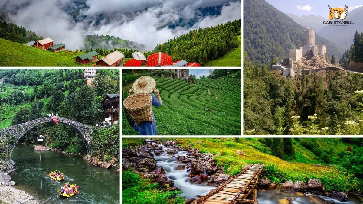 AFET RİSKLERİNDEN TARIMA, RİZE&rsquo;NİN G&Uuml;NCEL SORUNLARI VE &Ccedil;&Ouml;Z&Uuml;M YOLLARI