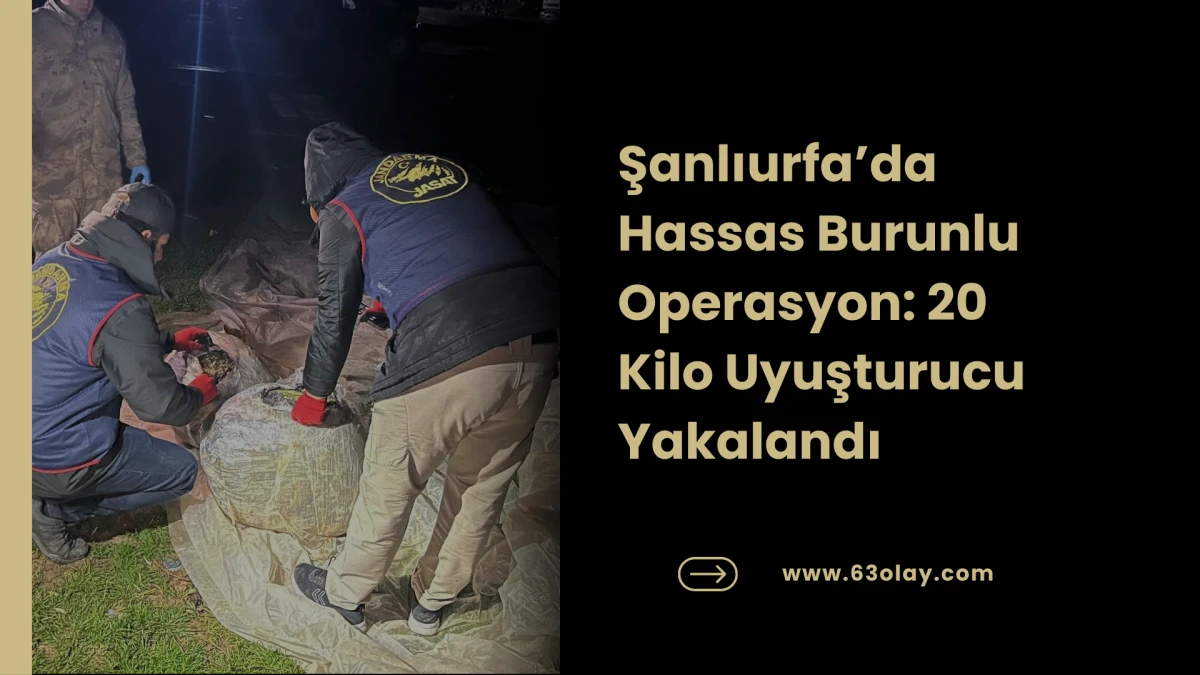 Ak&ccedil;akale ve Suru&ccedil; Hattında Narkotik Baskını!