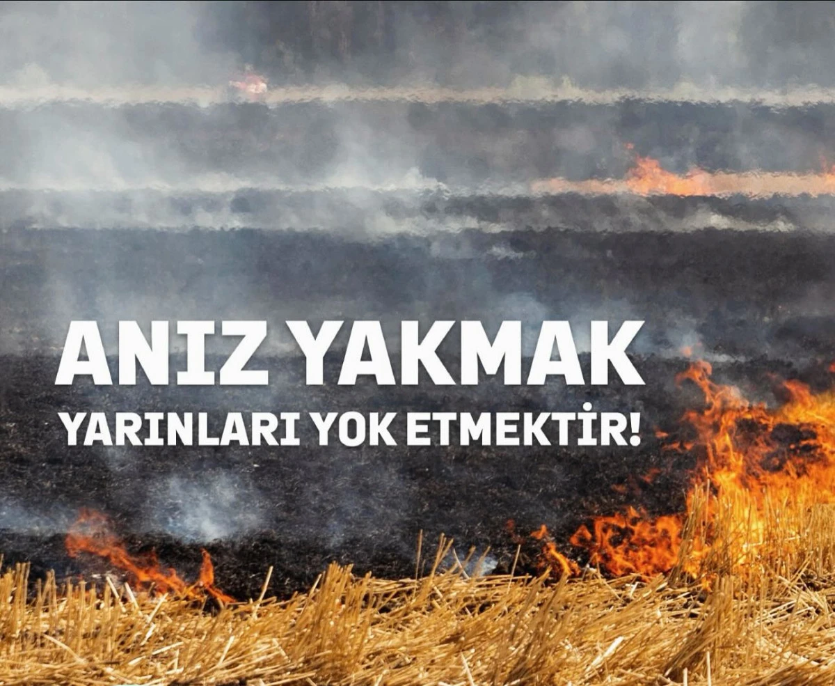 ANIZ YAKANLARA Y&Uuml;KSEK MİKTARDA CEZA