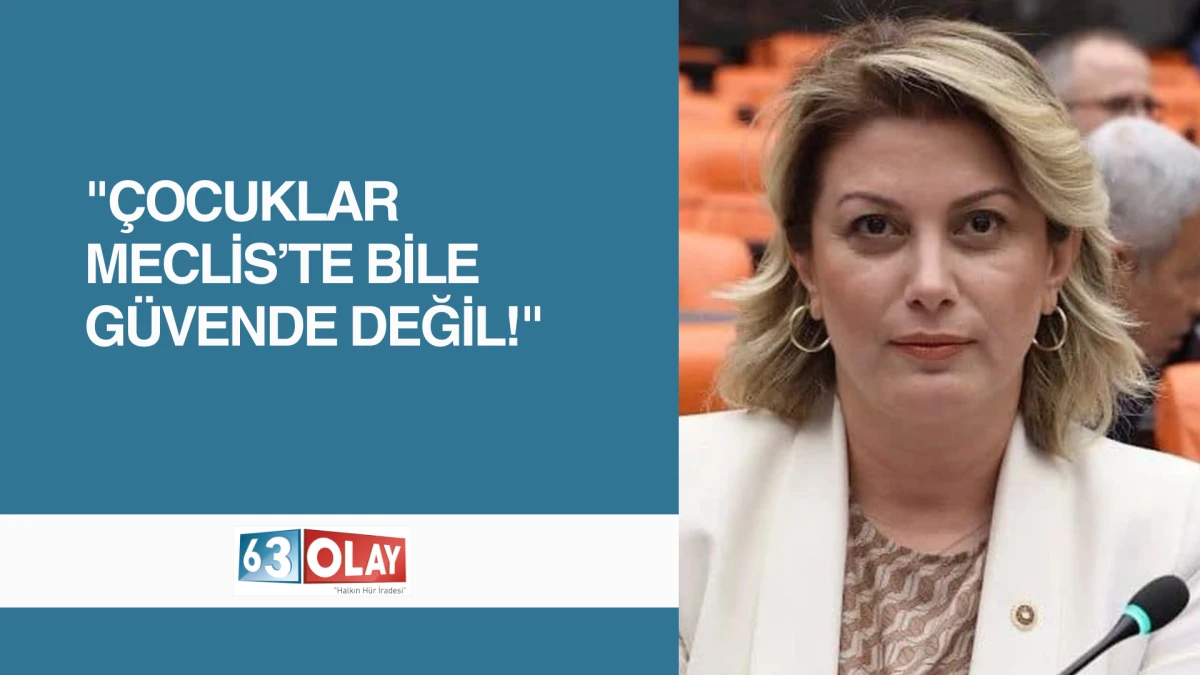 Asu Kaya&rsquo;dan TBMM&rsquo;de Sert &Ccedil;ıkış