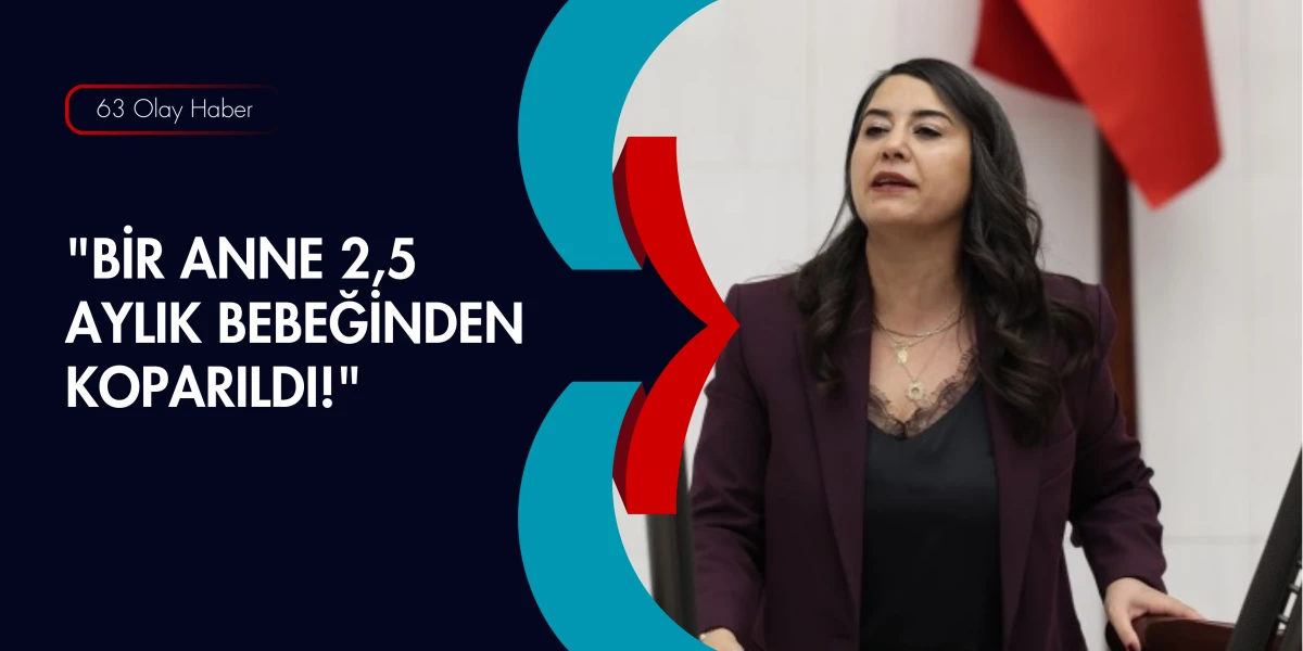 AYAN&rsquo;DAN URFA İ&Ccedil;İN HAK İHLALİ RAPORU