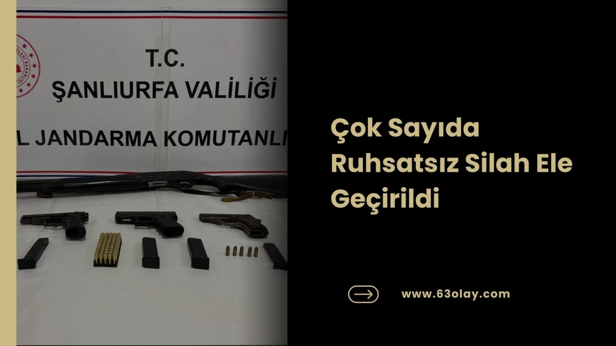 Birecik'te Jandarmadan Silah Operasyonu