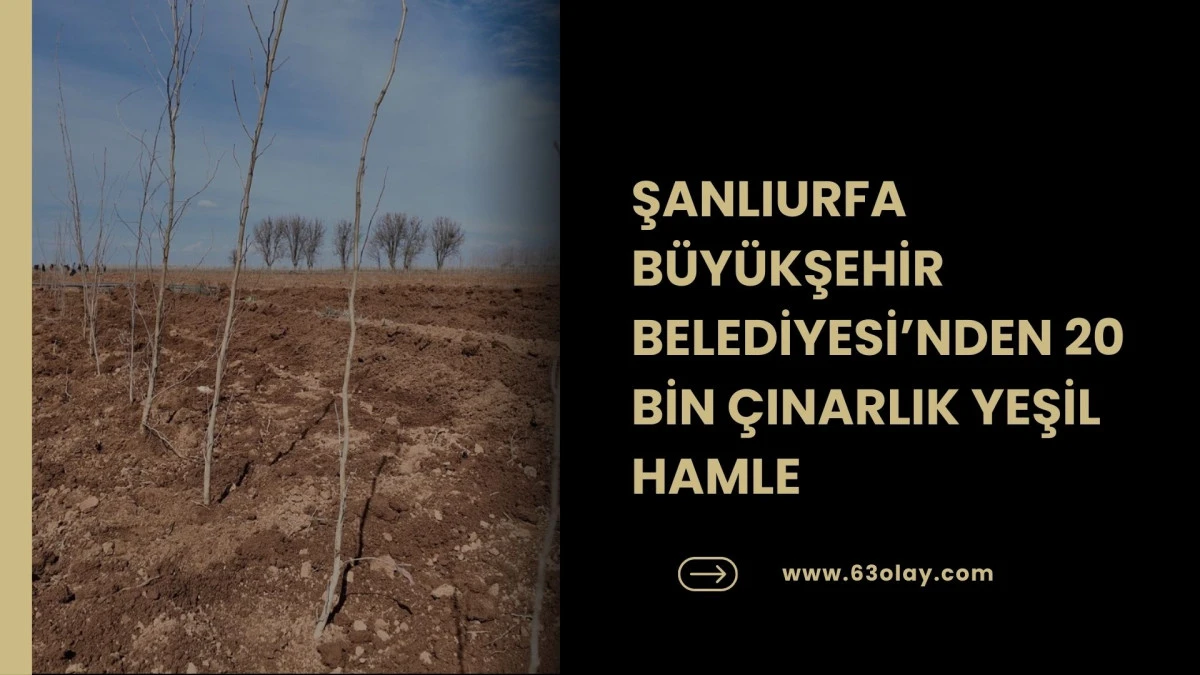 B&Uuml;Y&Uuml;KŞEHİR BELEDİYESİ KENDİ &Uuml;RETİYOR, 20 BİN &Ccedil;INAR ŞANLIURFA İ&Ccedil;İN HAZIRLANIYOR