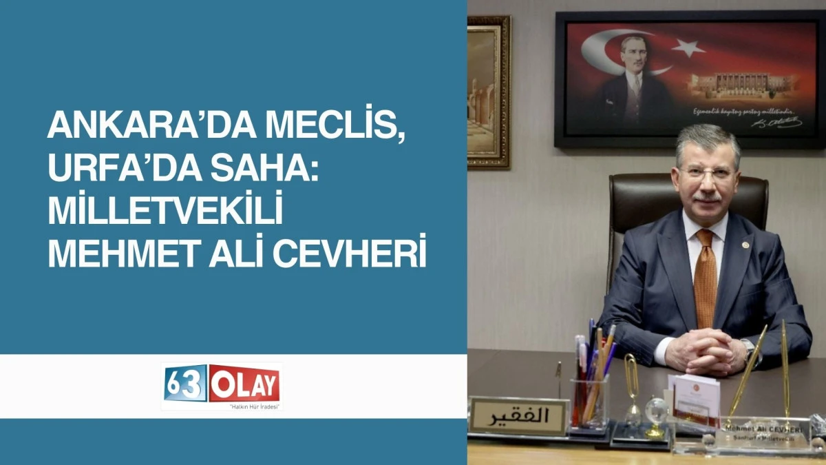 Cevheri&rsquo;den Gen&ccedil;lere M&uuml;jde: Şanlıurfa Teknoloji &Uuml;ss&uuml; Oluyor!