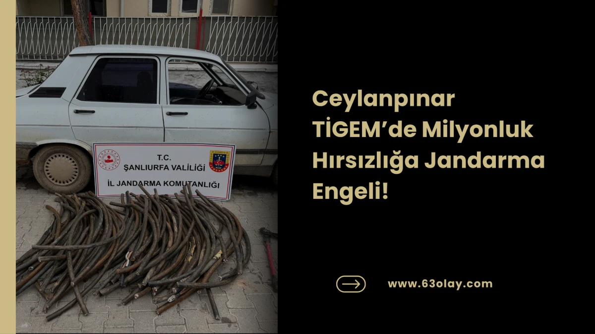 Ceylanpınar&rsquo;da Milyonluk Vurgun Girişimi: Ş&uuml;pheli Şahıs Yakalandı