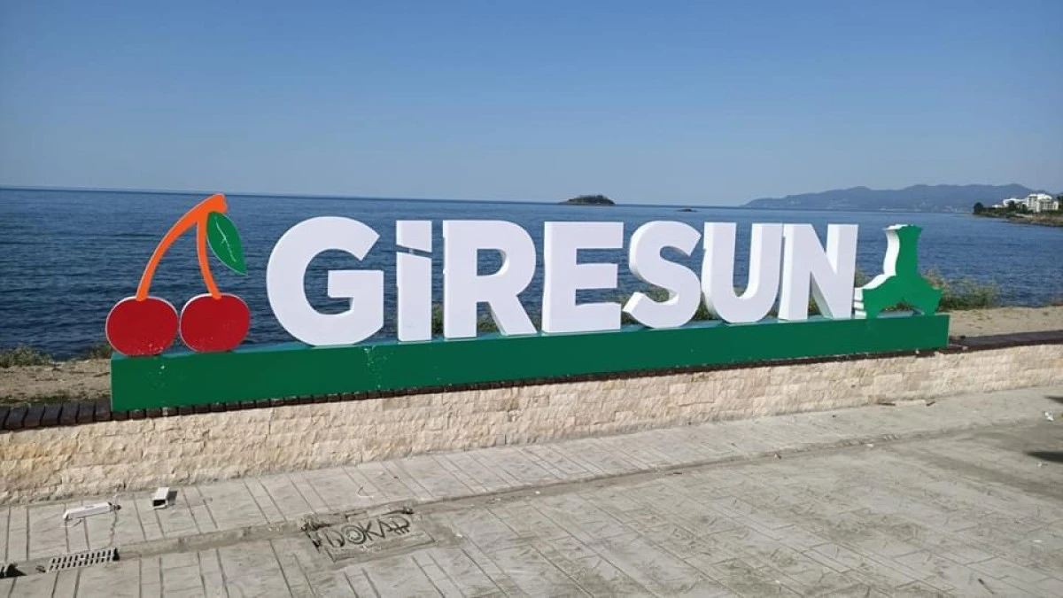 Giresun&rsquo;un Geleceği İ&ccedil;in Re&ccedil;ete: Kronik Sorunlar ve &Ccedil;&ouml;z&uuml;m &Ouml;nerileri