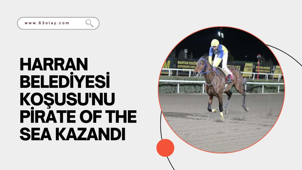 HARRAN BELEDİYESİ KOŞUSU'NU PİRATE OF THE SEA KAZANDI