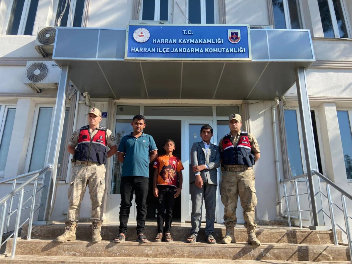 Harran'da Kaybolan &Ccedil;ocuklar Jandarma Tarafından Sağ Salim Bulundu
