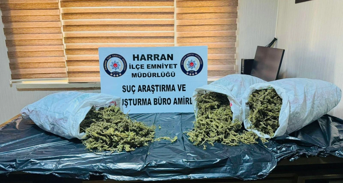 Harran&rsquo;da Zehir Tacirlerine Ağır Darbe: 8 Kilogram Esrar Ele Ge&ccedil;irildi