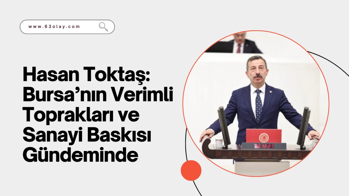 Hasan Toktaş: Bursa&rsquo;nın Verimli Toprakları ve Sanayi Baskısı G&uuml;ndeminde