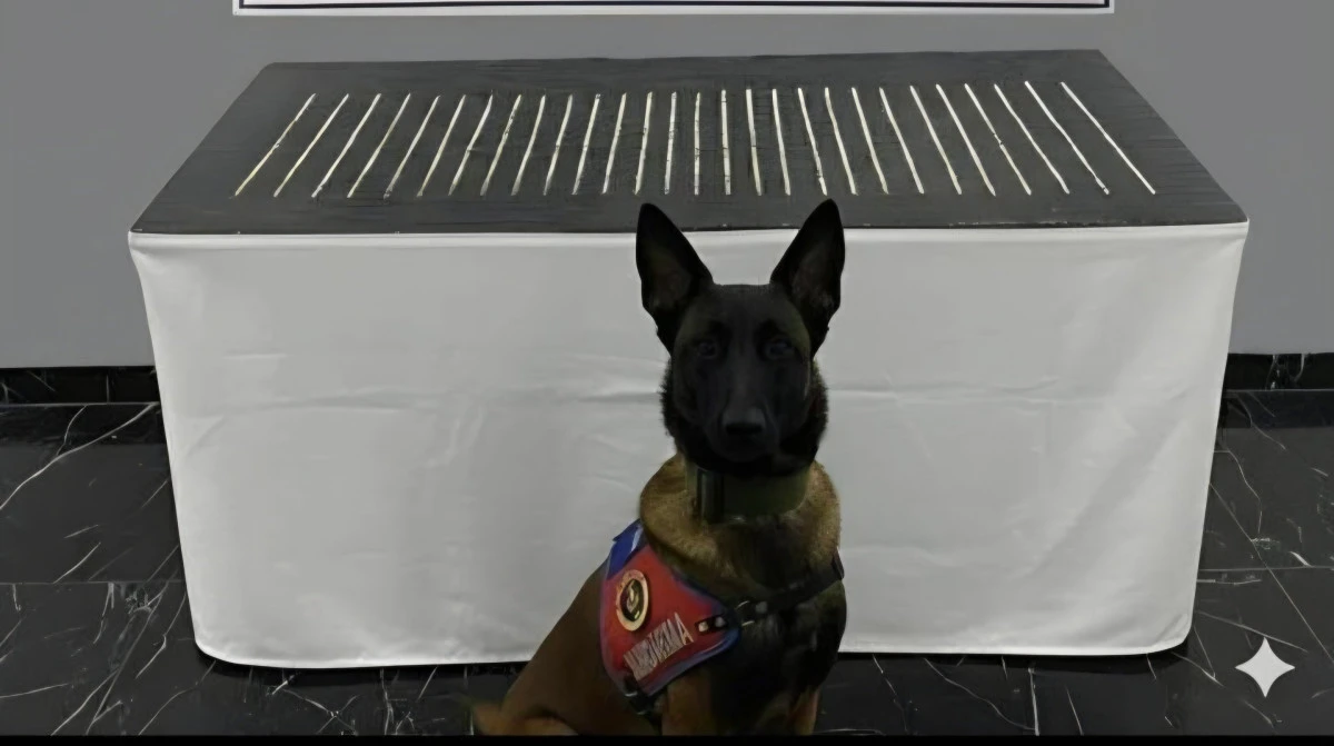 İl Jandarmadan Narkotik Operasyon! 10 Gözaltı…