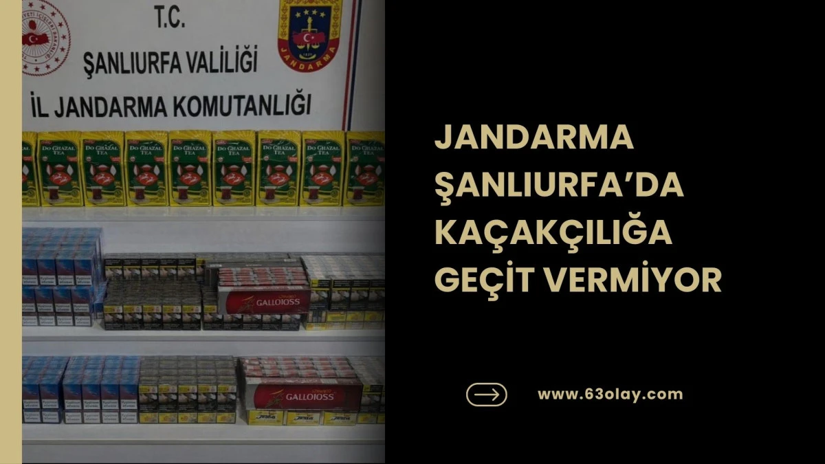 Ka&ccedil;ak T&uuml;t&uuml;n ve Sigara Operasyonu