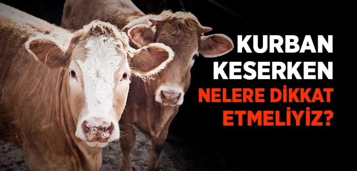 Kurban Rehberi: Alırken, Keserken ve Paylaşırken Nelere Dikkat Edilmeli?