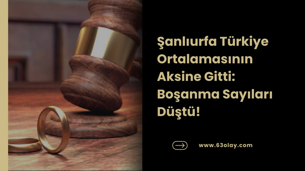 Mutfaktaki Yangın mı, Sosyal Değişim mi? Boşanmalar Artıyor!