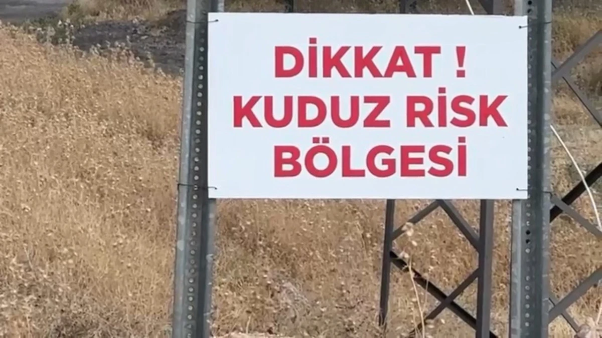 O İlde Kuduz Alarmı! 7 Mahalle Karantinaya Alındı