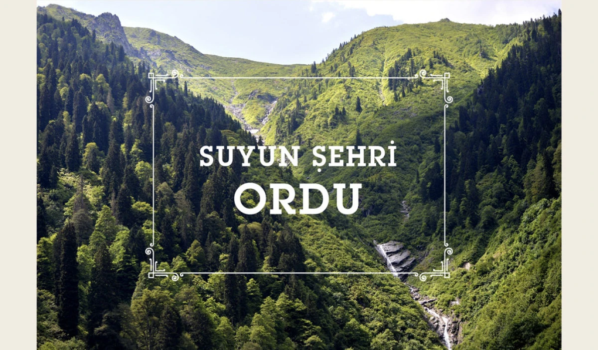 ORDU&rsquo;NUN G&Uuml;NDEMİNDEKİ KRİTİK SORUNLAR VE &Ccedil;&Ouml;Z&Uuml;M YOLLARI