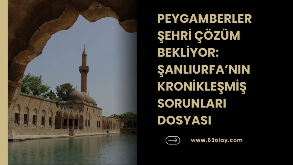 Potansiyel Var, &Ccedil;&ouml;z&uuml;m Yok: Şanlıurfa&rsquo;nın Kronikleşen Temel Sorunları