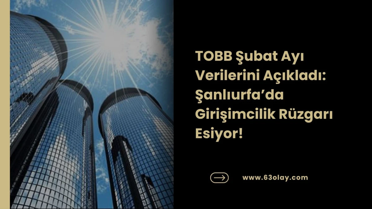 Şanlıurfa Ekonomisi Tam Yol İleri: Şubat Ayında 107 Yeni Şirket Kuruldu!