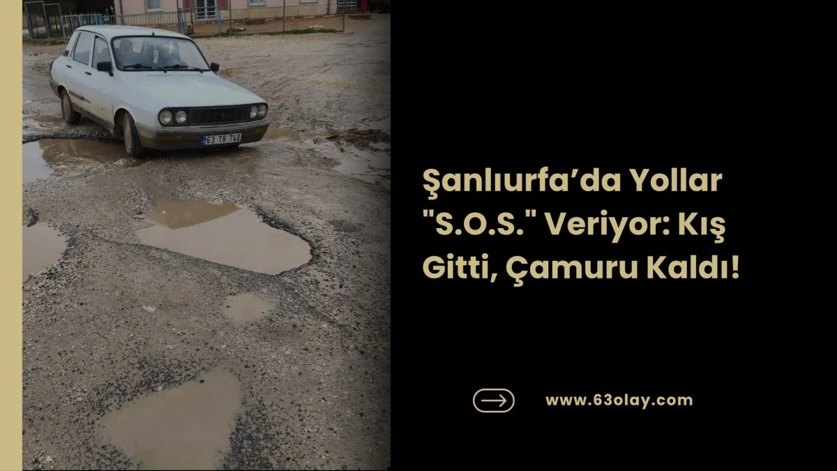 Şanlıurfa Kırsalında &Ccedil;amur ve &Ccedil;ukur &Ccedil;ilesi Bitecek Mi?