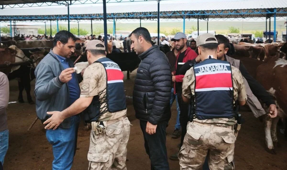 Şanlıurfa&rsquo;da G&uuml;venli Kurban Alışverişi İ&ccedil;in Jandarmadan Sıkı Tedbir: Pazarlarda Kuş U&ccedil;urtulmuyor