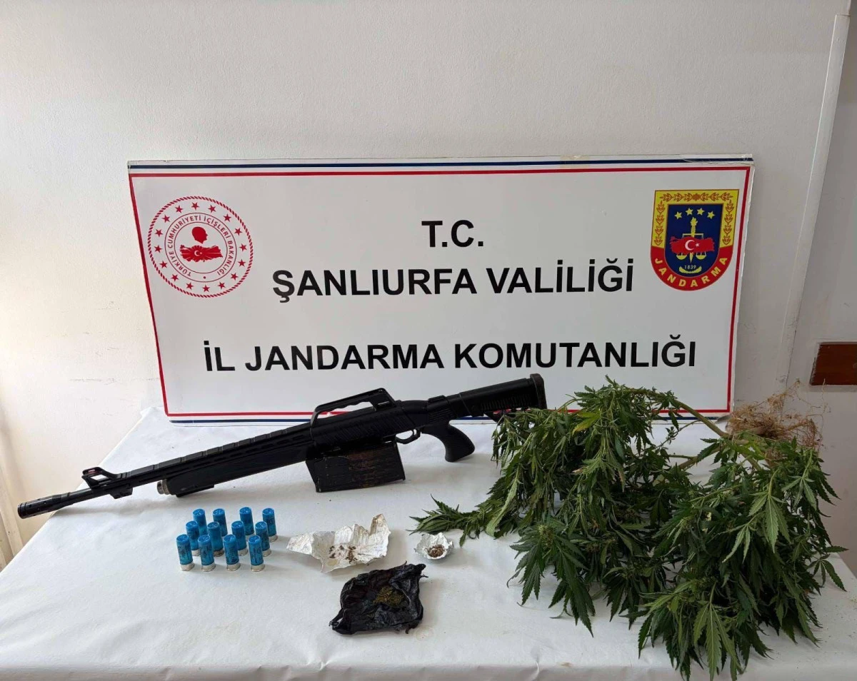 Şanlıurfa'da Jandarmadan Uyuşturucu Operasyonu: 5 Ş&uuml;pheliye Adli İşlem