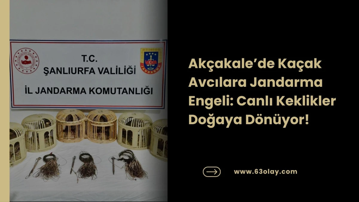 Şanlıurfa'da Keklik Operasyonu: Tuzak Kurarken Yakalandılar