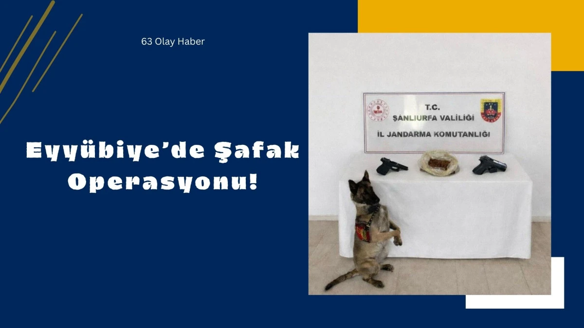 Şanlıurfa&rsquo;da Narkotik Operasyonu: Eyy&uuml;biye&rsquo;de Zehir Tacirlerine Ge&ccedil;it Yok!