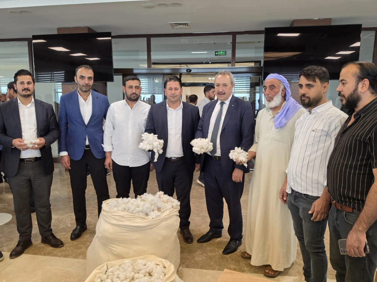 ŞANLIURFA&rsquo;DA SEZONUN İLK PAMUĞU SATILDI