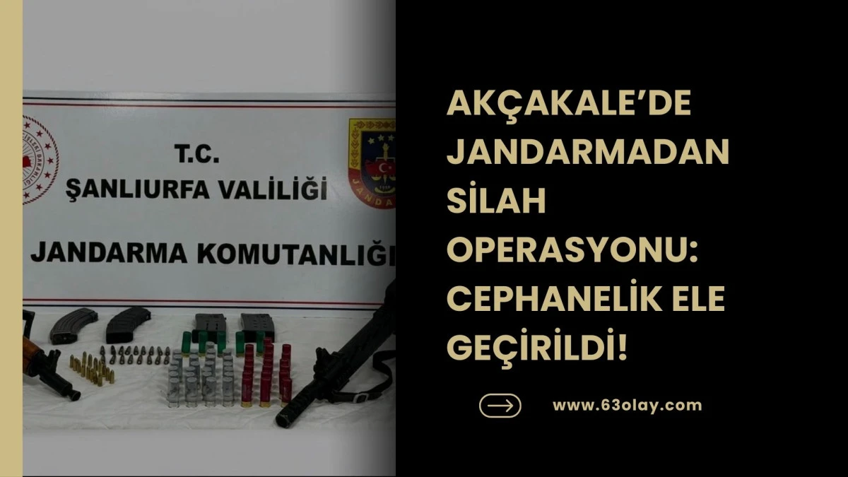 Şanlıurfa&rsquo;da Yasa Dışı Silahlanmaya Jandarma Darbesi!