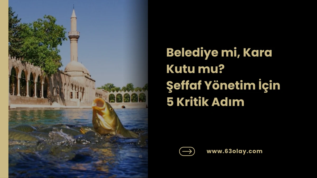 Şeffaf Belediyecilik Rehberi: İhaleler Canlı, Hesaplar Meydanda Olmalı!