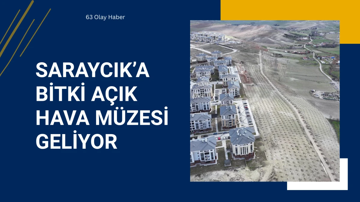 SİNCAN BELEDİYESİ&rsquo;NDEN SARAYCIK MAHALLESİ&rsquo;NDE YEŞİL SEFERBERLİĞİ