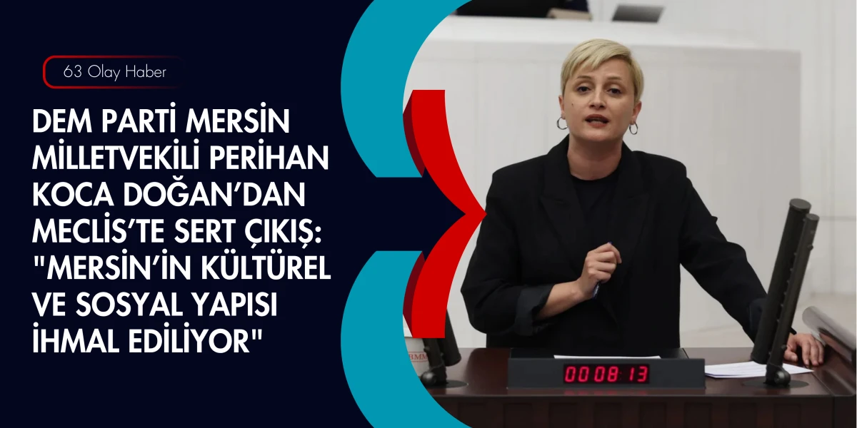 Zengin Kaynakların İ&ccedil;inde Yokluk &Ccedil;ekiliyor! Perihan Koca Doğan Mersin'in Durumunu &Ouml;zetledi
